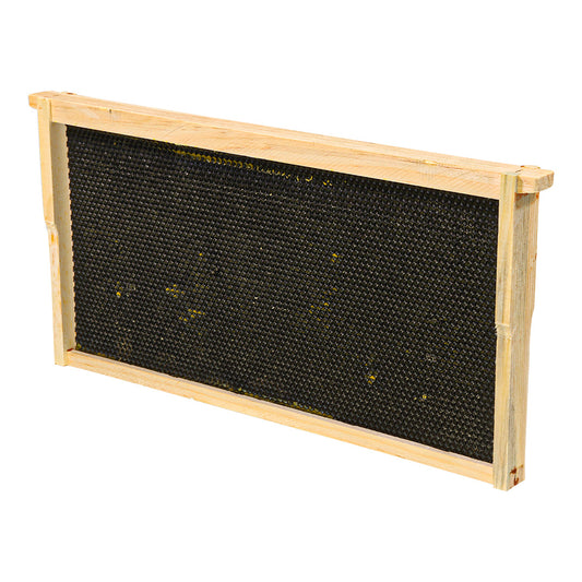 Frame – Deep Assembled with Double Waxed Black Plastic Foundation Grooved Top & Bottom